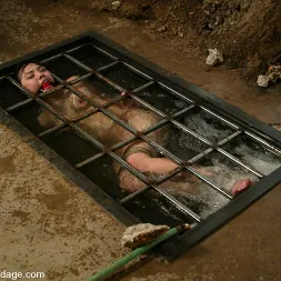 LieLani en 'Kink' ¡La encantadora Lielani se somete a la Armería! (Miniatura 8)