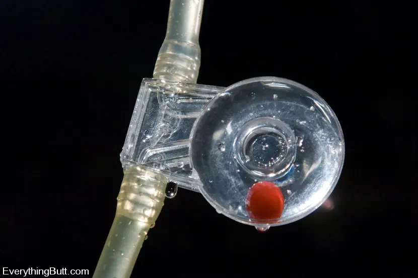 Kink 'アナル・アンチックス...リラは少しアナル・リテンション' 主演 Lilla Katt (写真 12)