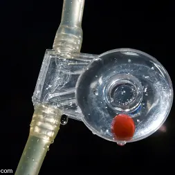 Lilla Katt に 'Kink' アナル・アンチックス...リラは少しアナル・リテンション (サムネイル 12)