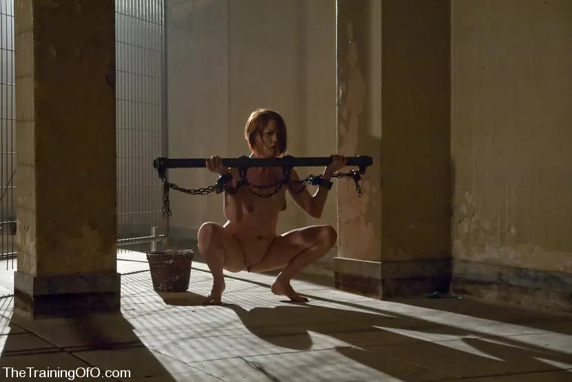 Kink 'リラ・カットの訓練、3日目' 主演 Lilla Katt (写真 17)