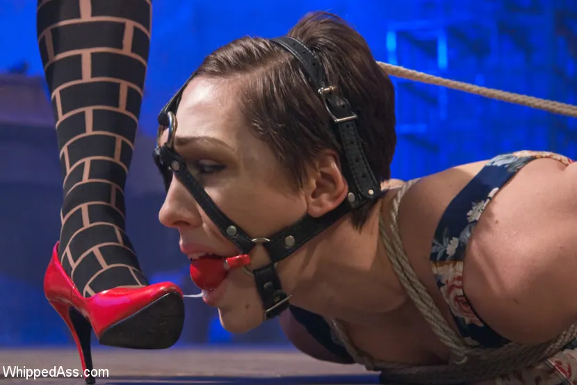 Kink 'Suffering and Orgasms' starring Lily LaBeau (Photo 9)