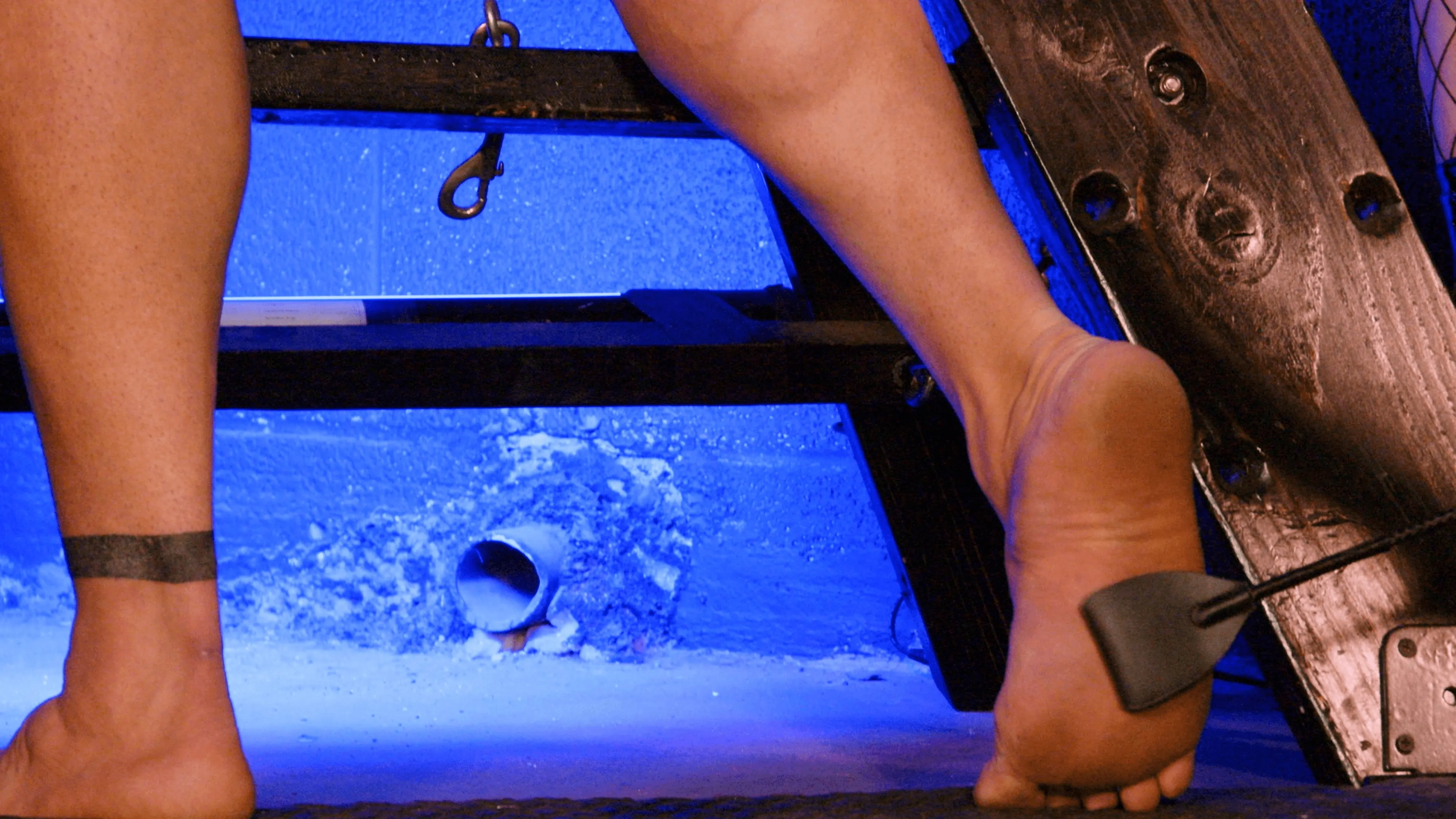 Lily Lane en 'La vida secreta de Davin' from 'Kink' (foto 7) Kink 'La vida secreta de Davin' protagonizando Lily Lane (foto 7)