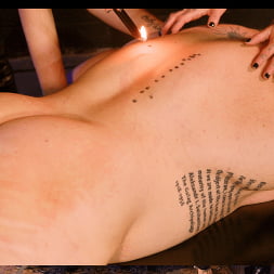 Lily Lane に 'Kink' デイヴィンの秘密の生活 (サムネイル 12)