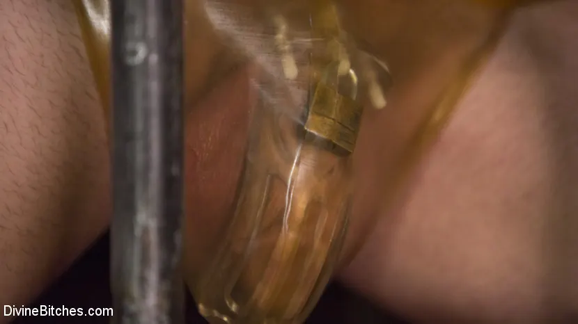 Kink 'プリンセスと彼女の哀れなペット' 主演 Lily Lane (写真 1)