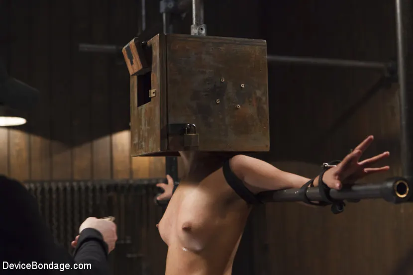 Kink '若いラテンの痛みの女' 主演 Liv Aguilera (写真 9)