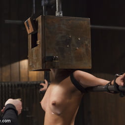 Liv Aguilera に 'Kink' 若いラテンの痛みの女 (サムネイル 9)