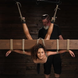 Liv Revamped in 'Kink' Pure Brutal Bliss (Thumbnail 11)