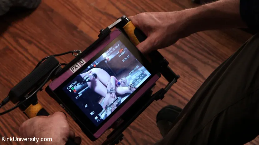 Kink '深い内部：セックスと提出' 主演 Lorelei Lee (写真 8)