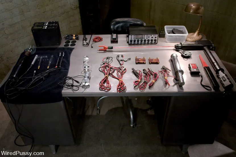 Kink 'Electrical Demo Part 1: The Violet Wand' starring Lorelei Lee (Photo 13)