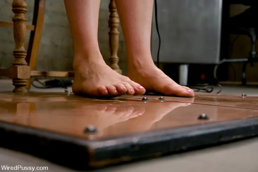 Kink 'Electrical Demo Part 1: The Violet Wand' starring Lorelei Lee (Photo 24)