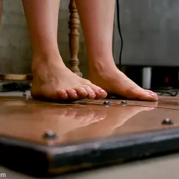 Lorelei Lee in 'Kink' Electrical Demo Part 1: The Violet Wand (Thumbnail 24)