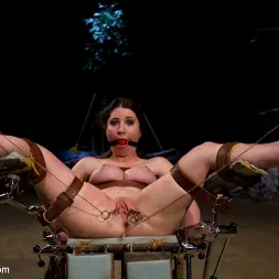 Lorelei Lee in 'Kink' Eternal Sunshine Of The Perverted Mind (Thumbnail 6)