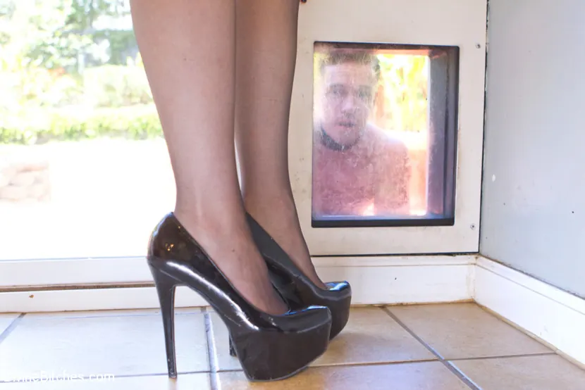 Kink 'Fantasy Package: Domestic Servitude' starring Lorelei Lee (Photo 11)