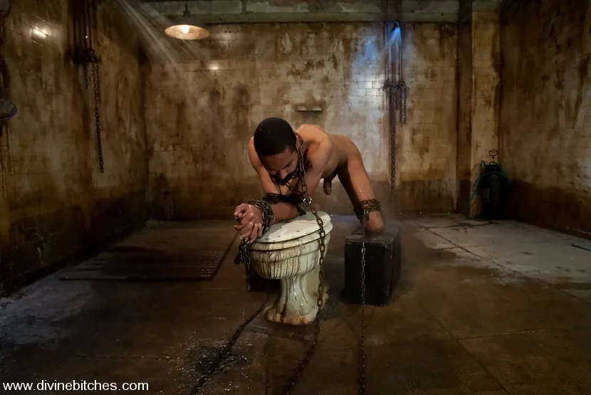 Kink 'Fresh Meat: Episode 1 Tease and Denial' starring Lorelei Lee (Photo 14)