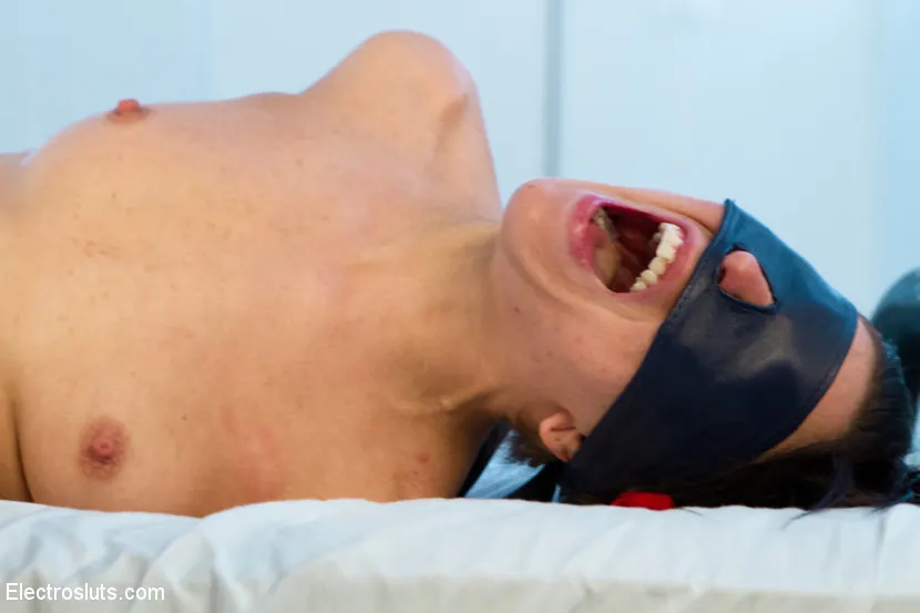 Kink 'Si quieres que te follen, tienes que darte una descarga eléctrica' protagonizando Lorelei Lee (foto 16)