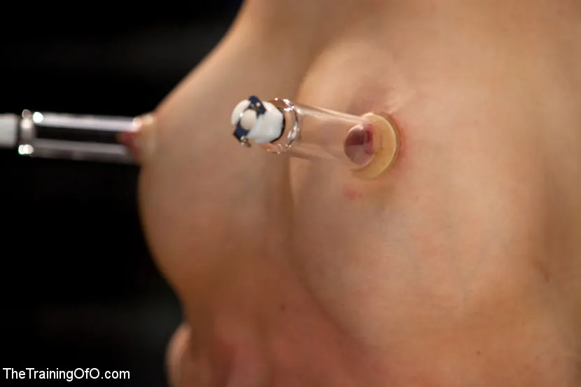 Kink 'Day 3 Learning the Ropes of Brutal Domination' starring Lorelei Lee (Photo 12)