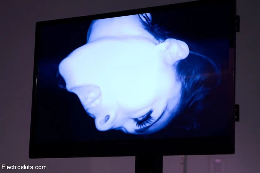 Kink 'Electrosluts、Beretta Jamesへようこそ！' 主演 Lorelei Lee (写真 16)