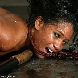 Lori Alexia に 軍曹少佐とロリ・アレクシア (写真 9) Lori Alexia に 'Kink' 軍曹少佐とロリ・アレクシア (サムネイル 9)