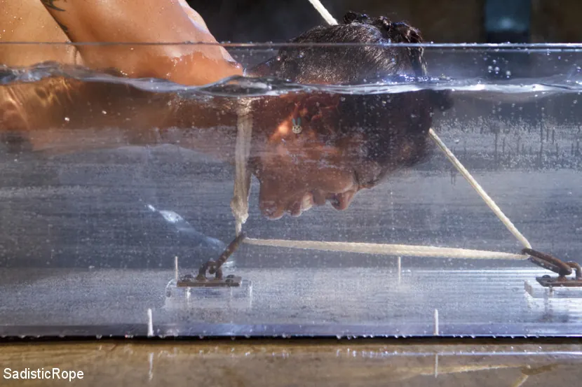 Lotus Lain に 'ボンデージ、水の苦しみ、潮吹きオルガズム!!!' from 'Kink' (写真 16) Kink 'ボンデージ、水の苦しみ、潮吹きオルガズム!!!' 主演 Lotus Lain (写真 16)