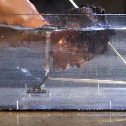 Lotus Lain in 'Kink' Bondage, Water Torment, and Squirting Orgasms!!! (Thumbnail 16)