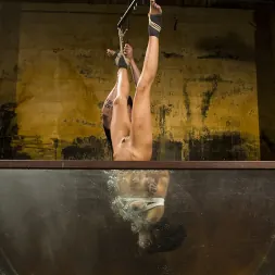 Lyla Storm en 'Kink' Sufrimiento extremo - Lyla Storm (Miniatura 8)