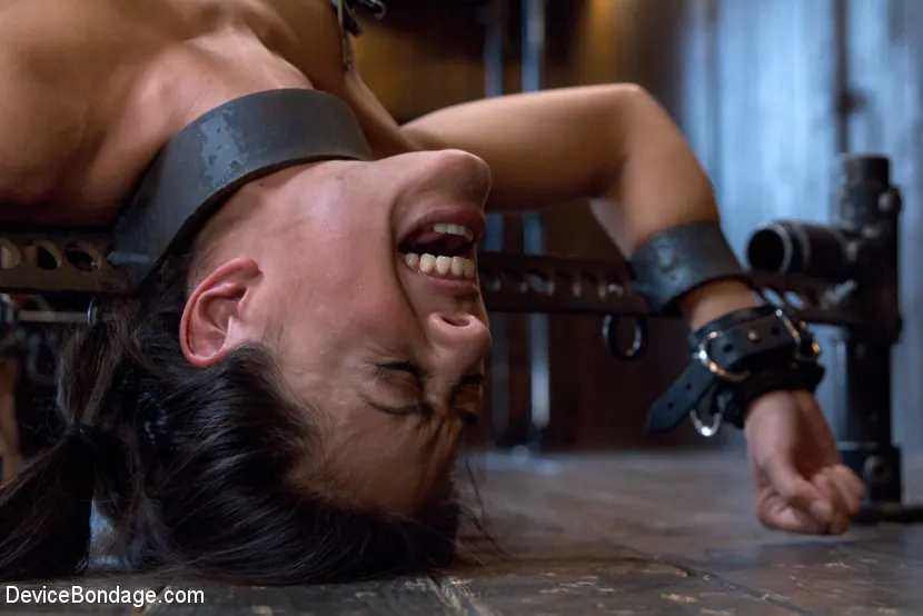 Kink 'Inmovilizado' protagonizando Lyla Storm (foto 16)