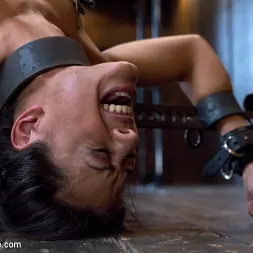 Lyla Storm en 'Kink' Inmovilizado (Miniatura 16)