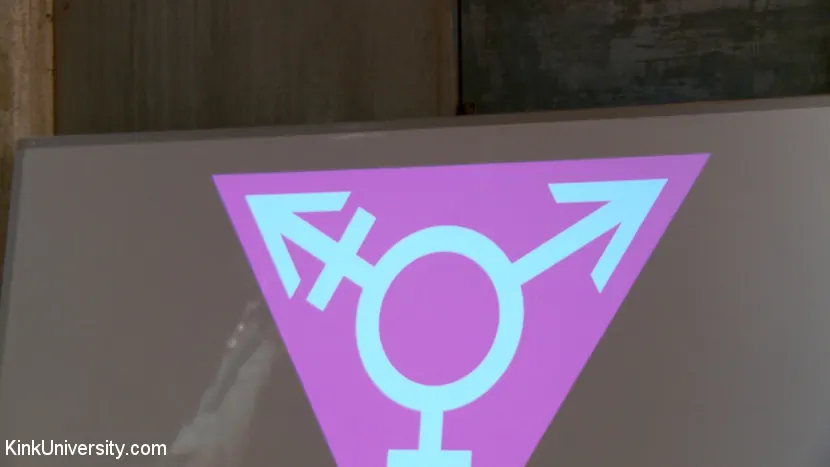 Kink 'ファックジェンダー！それはなぜジェネティアについてではないのですか？' 主演 MacDaddy (写真 4)