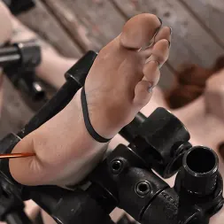 Madi Collins en Carne fresca: Madi Collins (foto 21) Madi Collins en 'Kink' Carne fresca: Madi Collins (Miniatura 21)