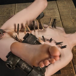 Madi Collins に 'Kink' ただそれを取るだけ (サムネイル 23)