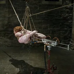 Madison Young en 'Kink' Damon Pierce y Madison Young (Miniatura 14)