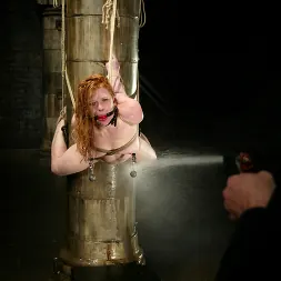 Madison Young en 'Kink' Hotter Than Ever! (Miniatura 3)