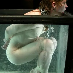 Madison Young en 'Kink' Hotter Than Ever! (Miniatura 6)