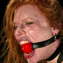 Madison Young en 'Kink' Hotter Than Ever! (Miniatura 15)