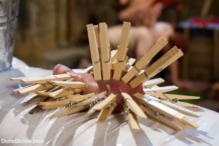 Kink 'June's Divine Live Show' starring Maitresse Madeline (Photo 8)