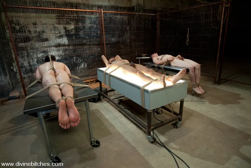 Kink 'Three Slaveboys Milked' starring Maitresse Madeline (Photo 8)