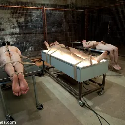 Maitresse Madeline in 'Kink' Three Slaveboys Milked (Thumbnail 8)