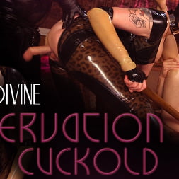 Maitresse Madeline Marlowe に 'Kink' ご予約：Cuckold (サムネイル 5)