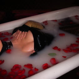 Maitresse Madeline Marlowe に 'Kink' ご予約：Cuckold (サムネイル 18)