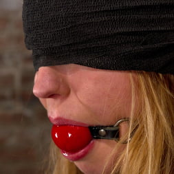 Mallory Mallone に 'Kink' マロリー・マローン・バック (サムネイル 13)