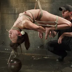 Marica Hase in Japanese Rope Slut (Photo 16) Marica Hase in 'Kink' Japanese Rope Slut (Thumbnail 16)