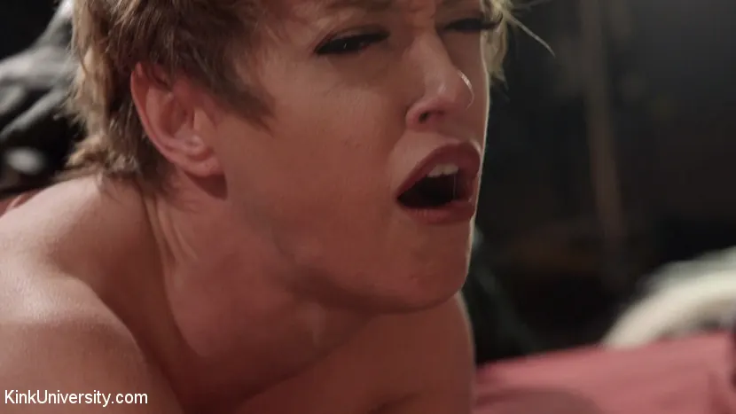 Kink '性的鞭打ち' 主演 Darling (写真 6)