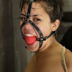 マヤ に 'Kink' マヤ (サムネイル 1)