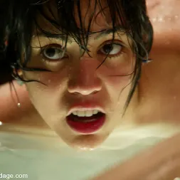 マヤ に 'Kink' マヤ (サムネイル 8)