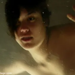 マヤ に 'Kink' マヤ (サムネイル 12)