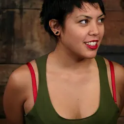 マヤ に 'Kink' マヤ (サムネイル 1)