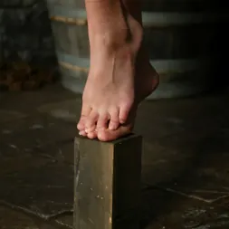 マヤ に 'Kink' マヤ (サムネイル 2)