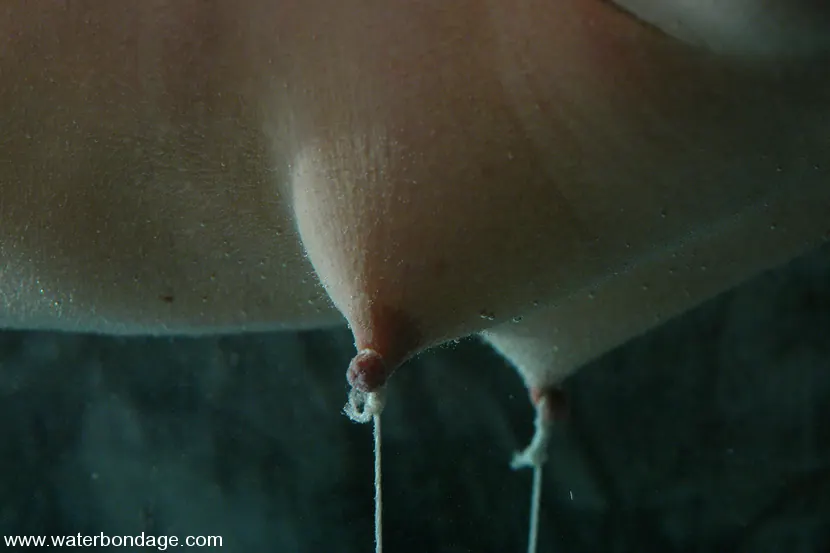 Kink 'マヤ・マシューズ、初めての魚釣り専用サスペンション' 主演 Maya Matthews (写真 7)