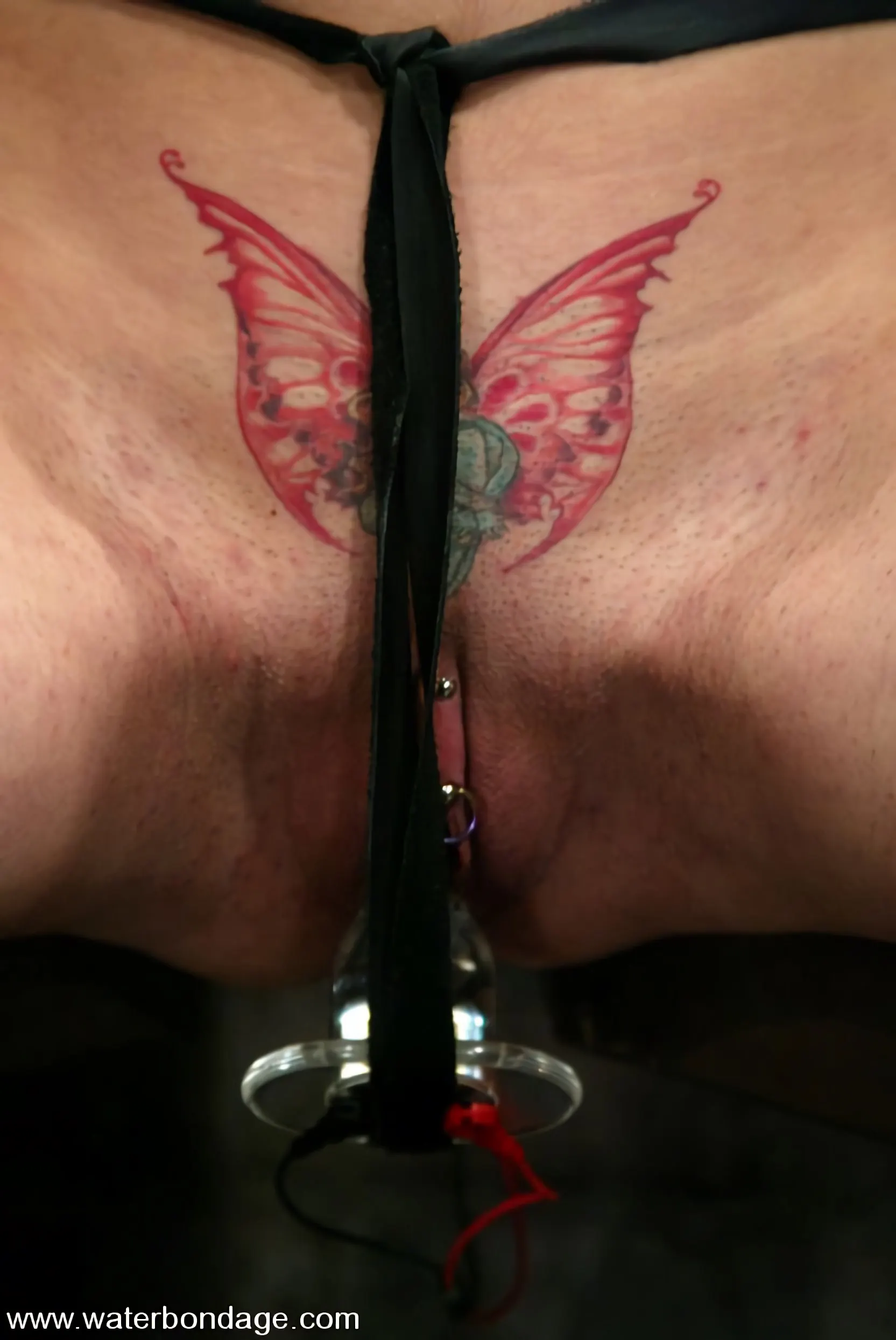 Maya Matthews in 'Maya Matthews' from 'Kink' (Photo 6) Kink 'Maya Matthews' starring Maya Matthews (Photo 6)