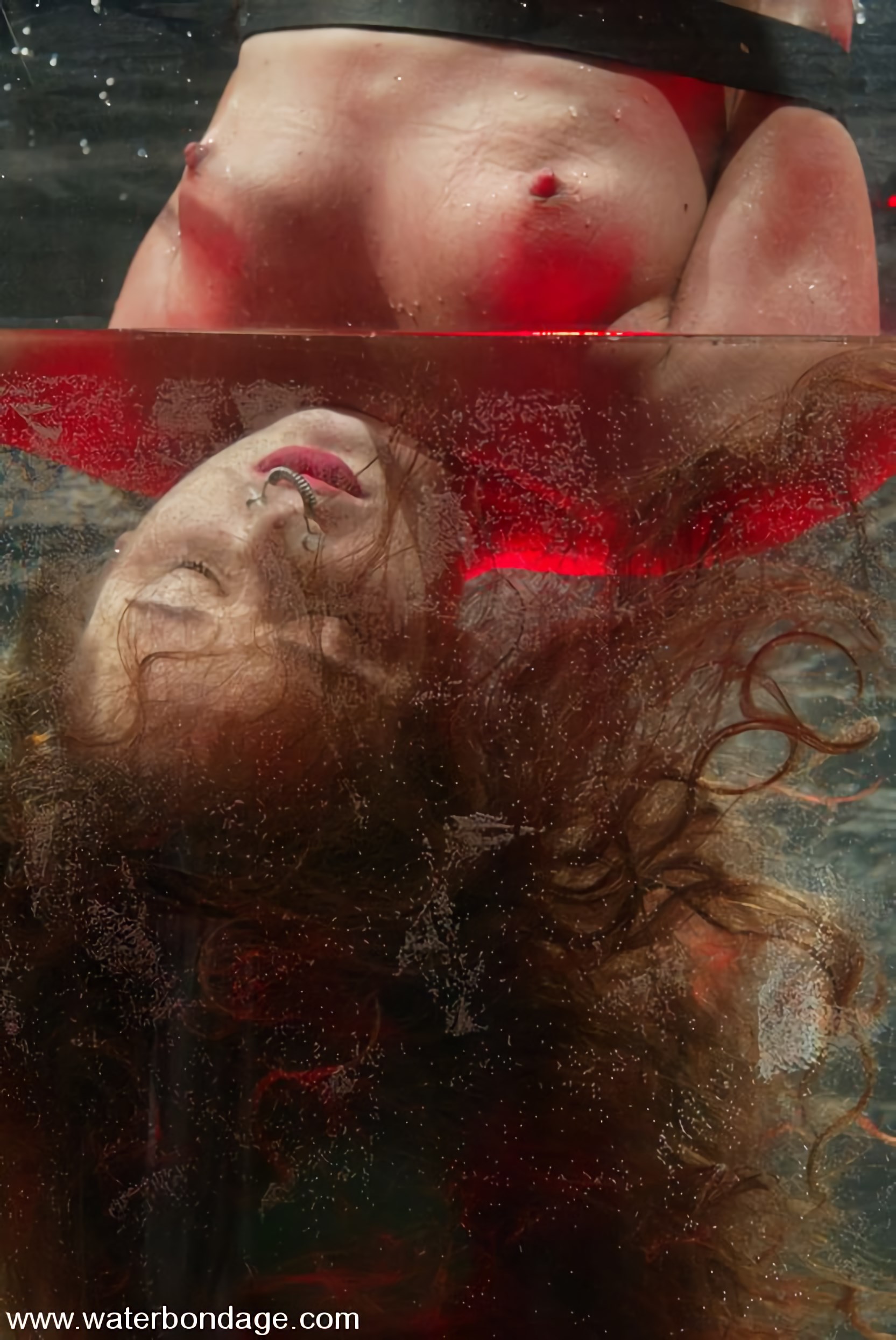 Kink 'マヤ・マシューズ' 主演 マヤ・マシューズ (写真 14)